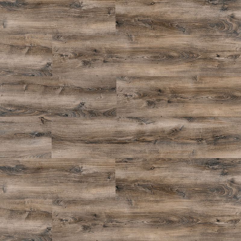 Piso-Laminado-New-Elegance-Celtic-Oak-07950113.jpg