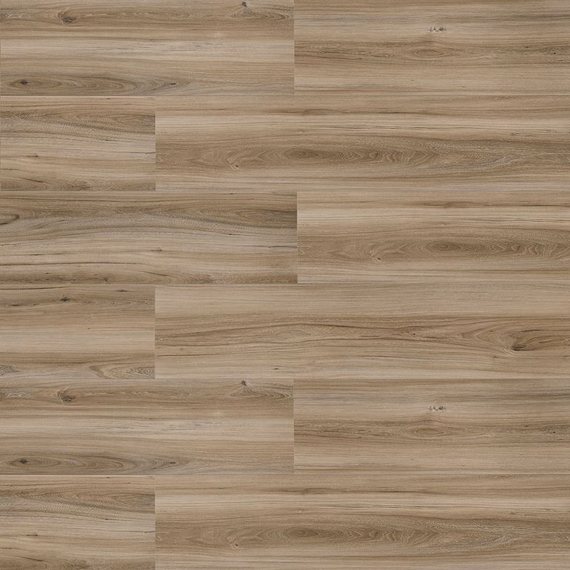 Piso-Laminado-New-Elegance-Elmo-Macciato-07950104.jpg