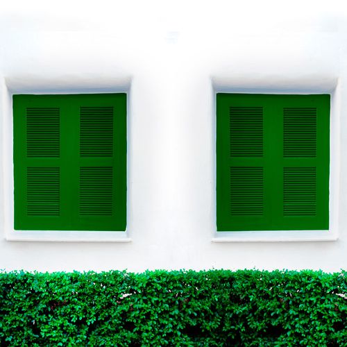 Tinta Peg e Pinte Esmalte Base Solvente Verde Folha Brilhante 900 ml