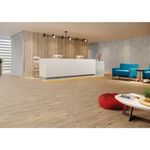 LVT_working_montana3