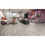 LVT_basic_denver3