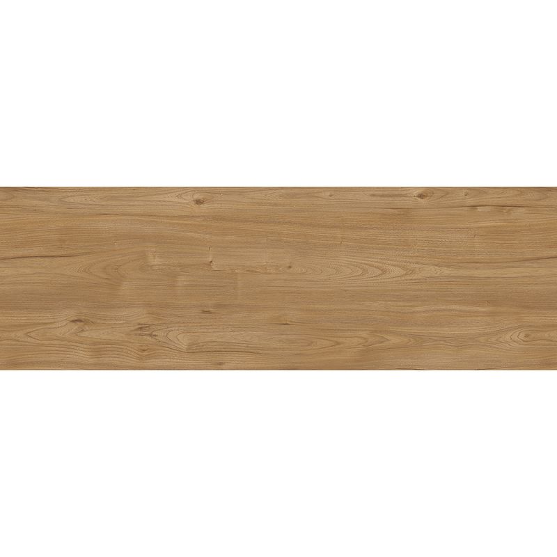Elmo-Imperial_01-standard-scale-0_50x-copiar