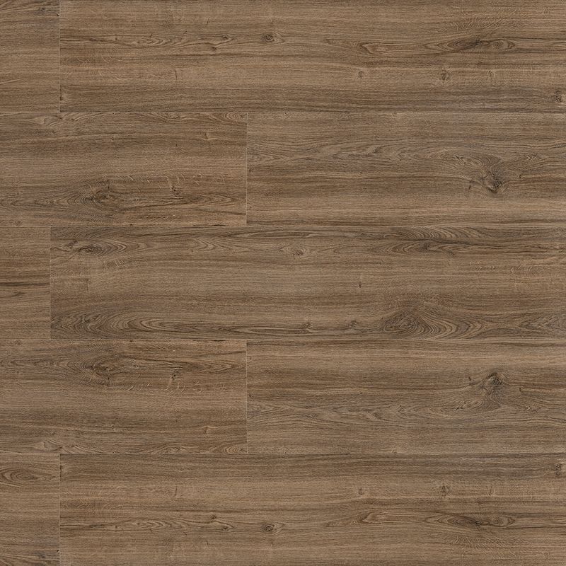Piso-Laminado-New-Evidence---Classic-Oak-placa