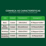 Vinilicos----1--Caracteristicas