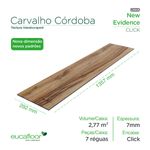 New Evidence - -1- Carvalho Cordoba