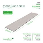 New Evidence - -2- Mont Blanc New