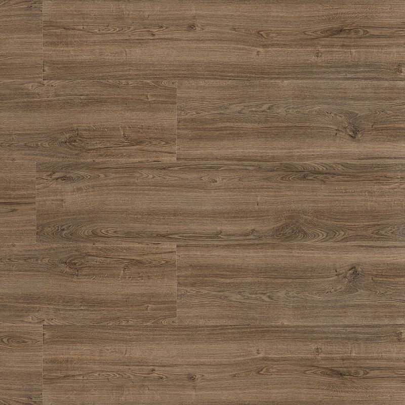 Piso-Laminado-New-Evidence---Classic-Oak-placa